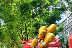 北京云摄影照片直播案例图